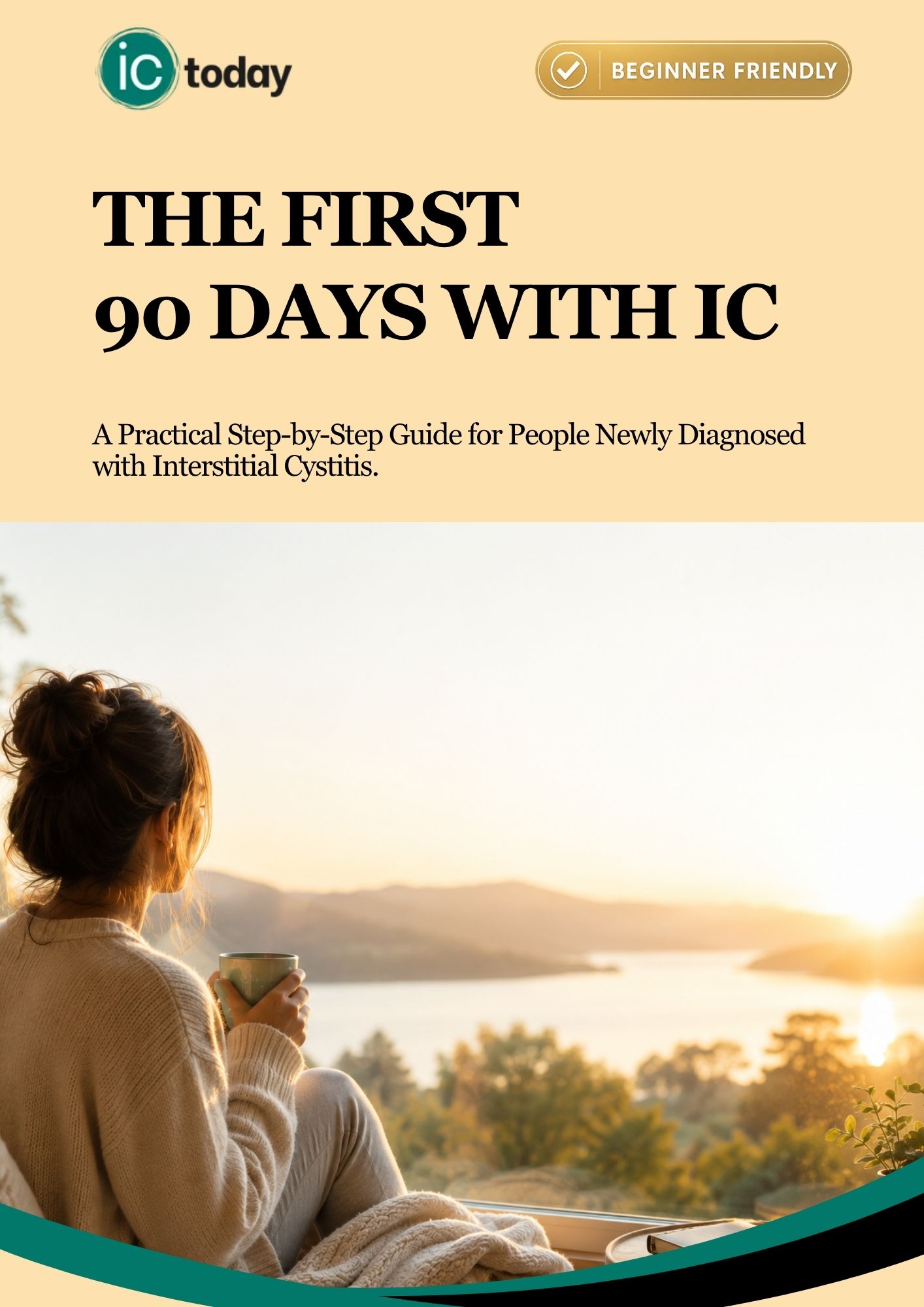 The First 90 Days with IC (3)